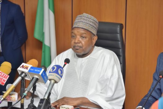 Budget Lockdown: FG halts new capital projects